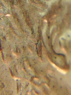 1997-Lincoln-Memorial-Cent-Doubled-Die-Ear-But-What-One?-Or-Die-Crack